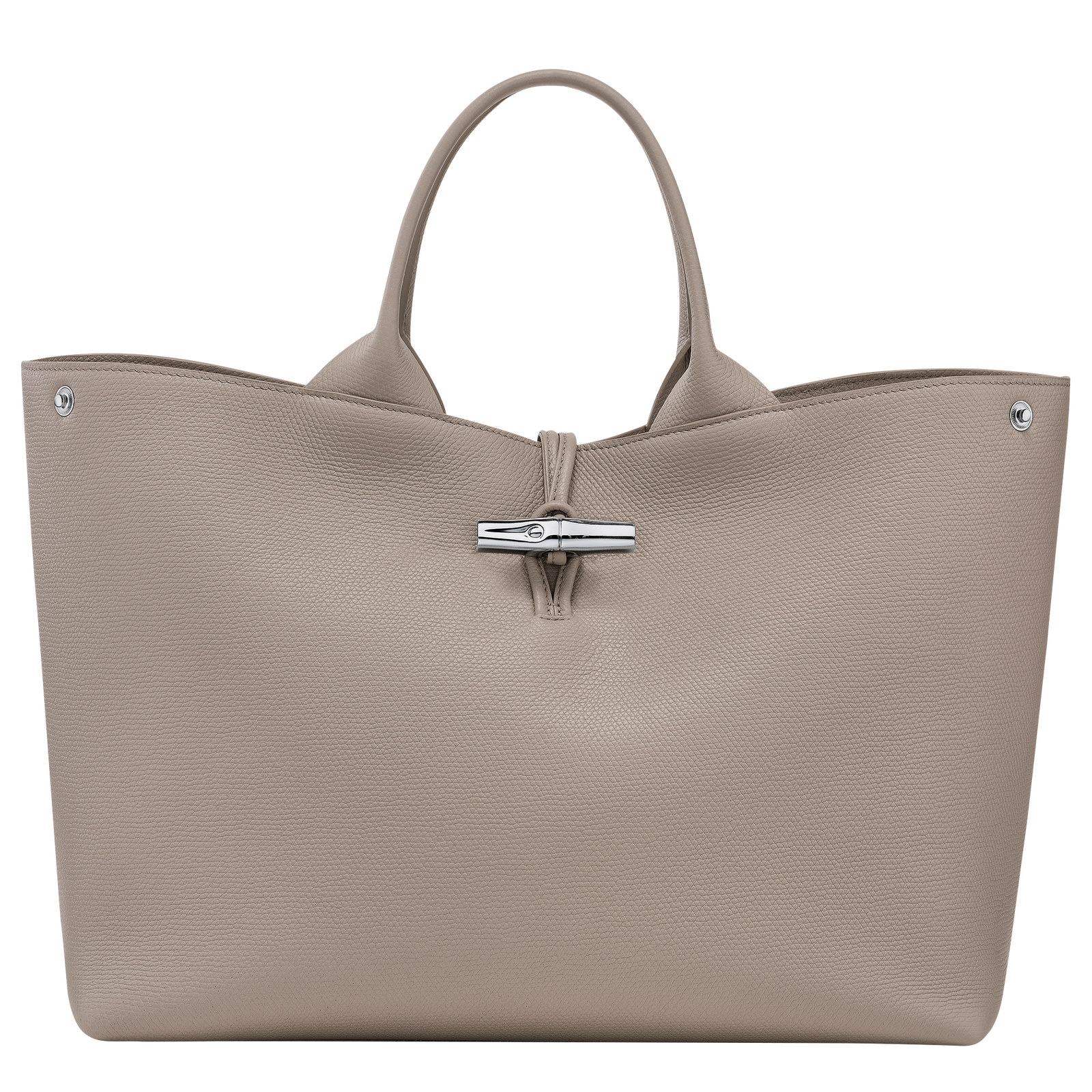 Longchamp Le Roseau L Handbag Clay