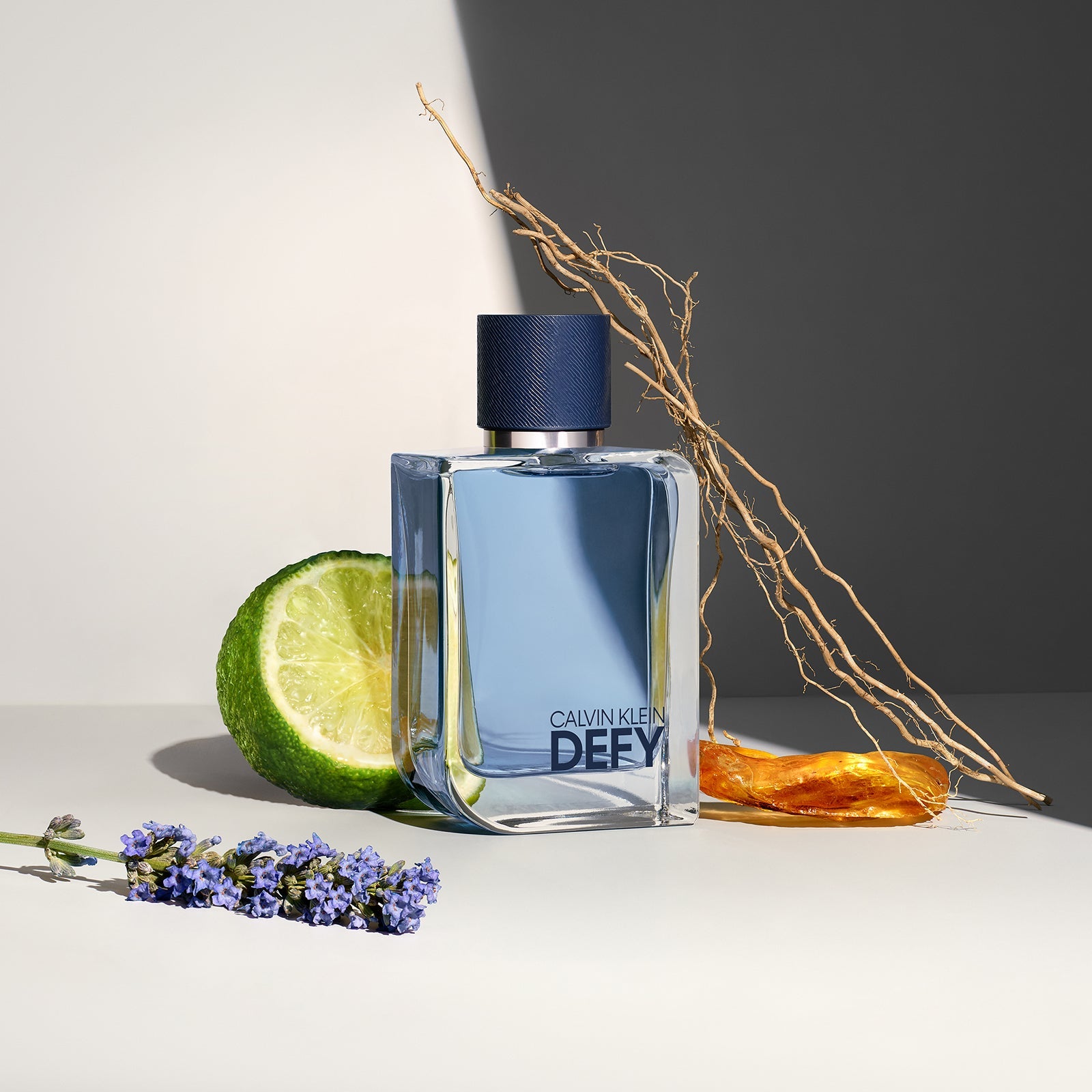 Calvin Klein Defy Eau de Toilette 50ml