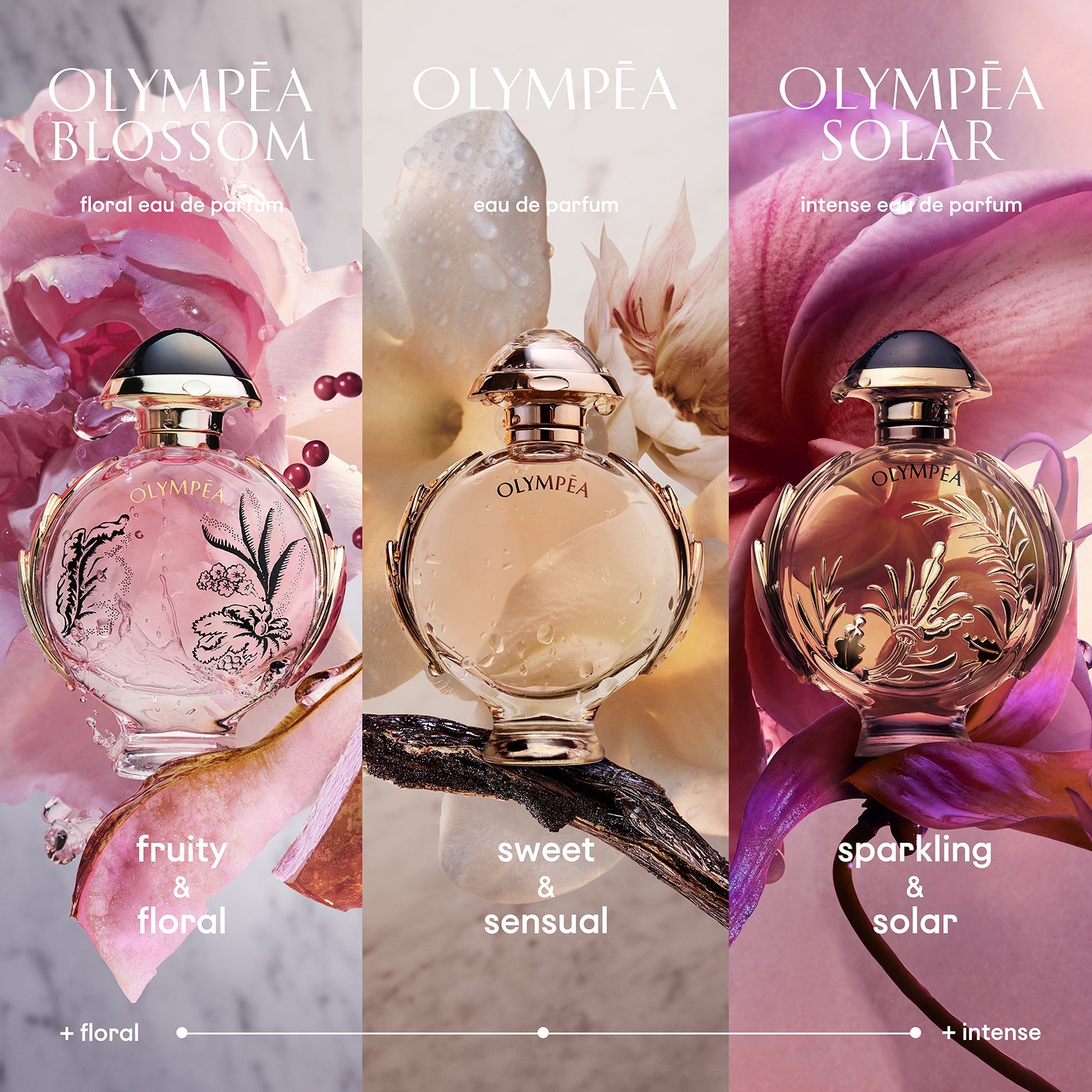 Rabanne Olympéa Solar Eau de Parfum Intense 50ml