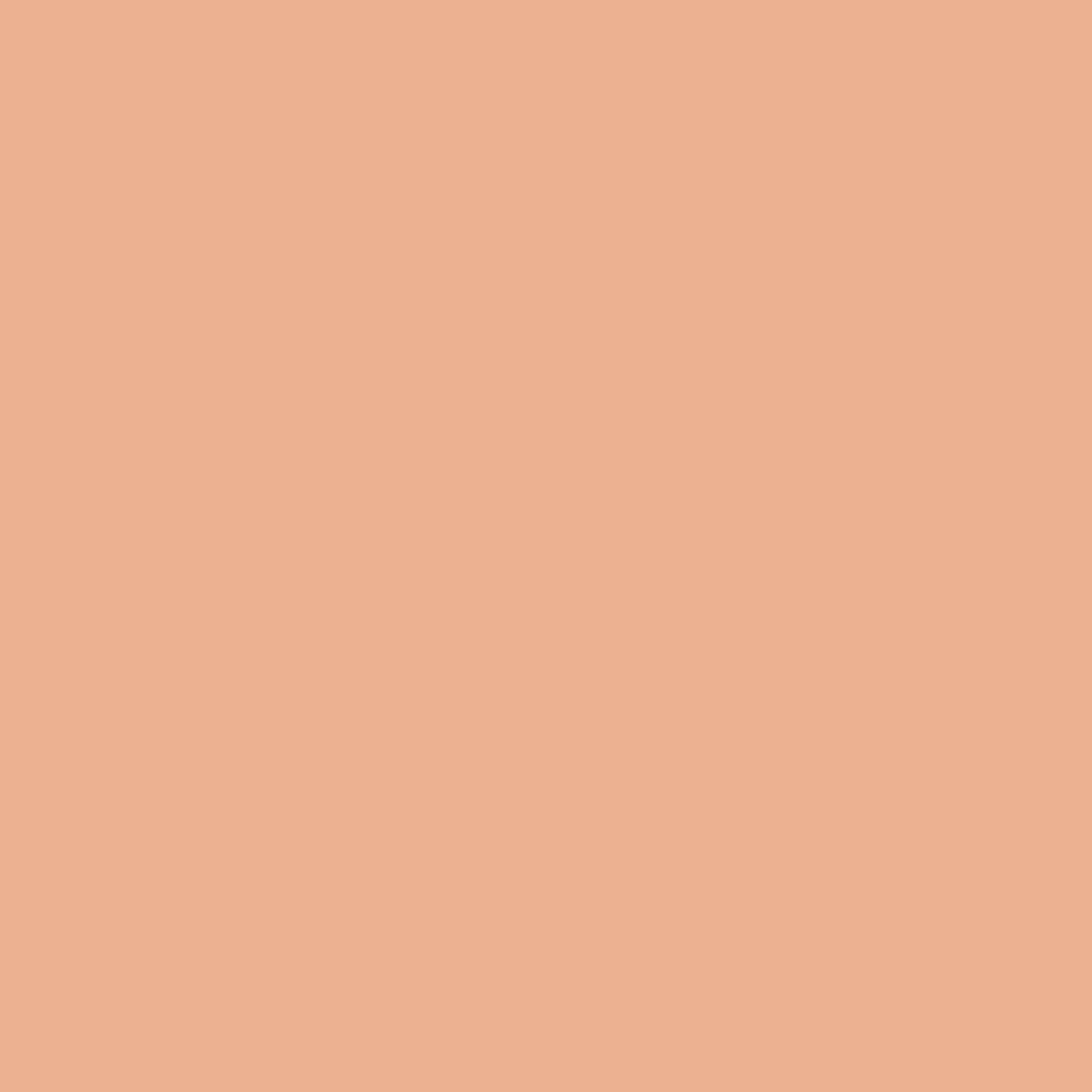 M.A.C Studio Radiance 24hr Luminous Lift Concealer