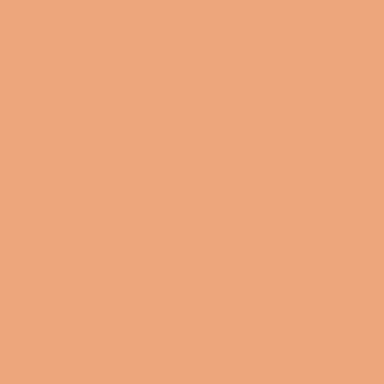 M.A.C Studio Radiance 24hr Luminous Lift Concealer