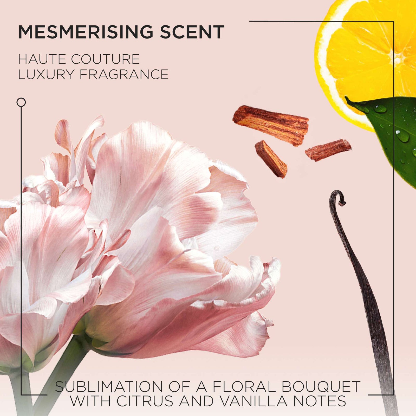 Kérastase Gloss Absolu Conditioner for All Hair Types with Glycolic Acid, Hyaluronic Acid & Wild Rose 75ml