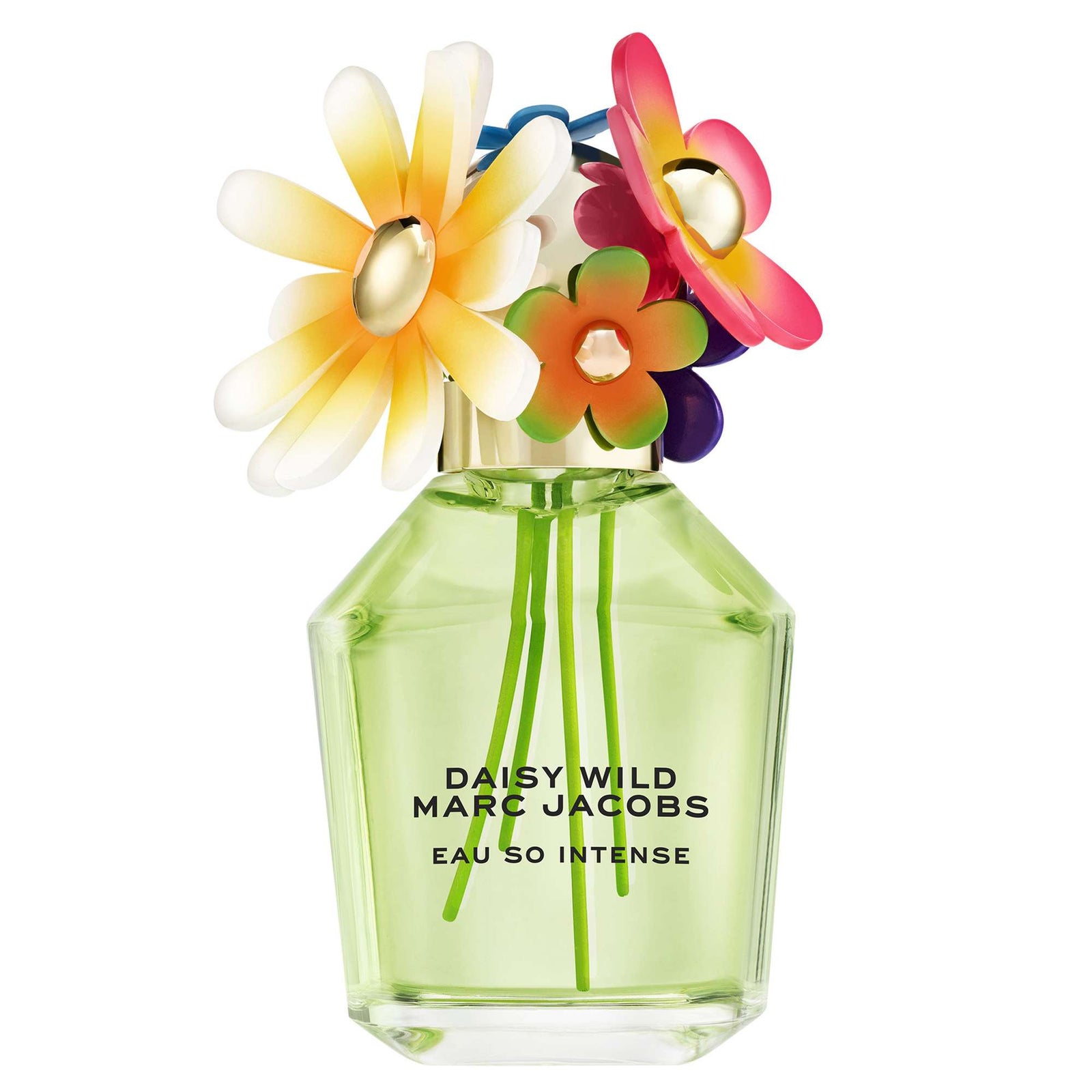Marc Jacobs Daisy Wild Eau So Intense Eau de Parfum Spray 100ml