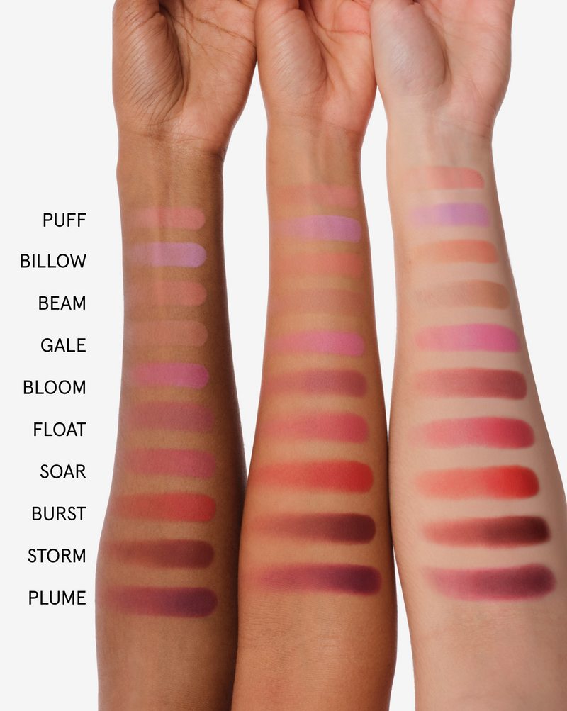 Plush Brush Duo