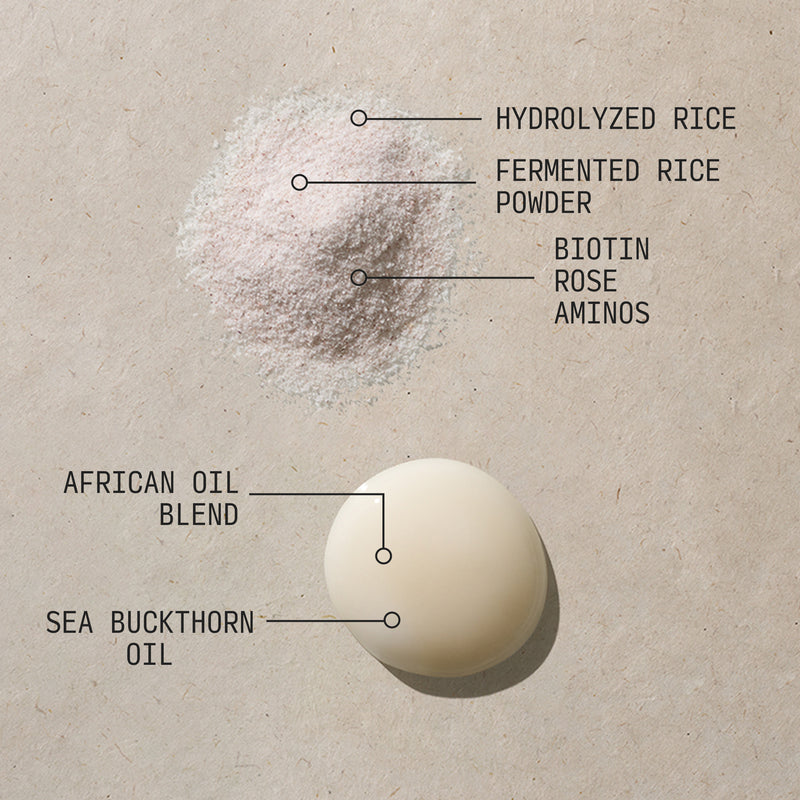 Fermented Rice & Rose Protein Ritual