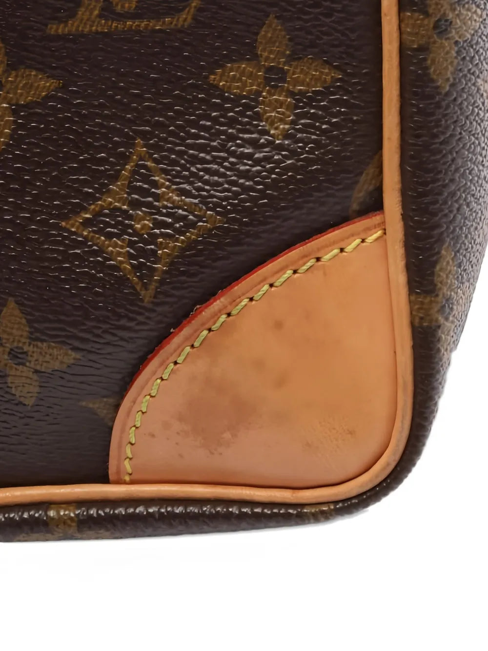 2004 Monogram Amazon cross body bag