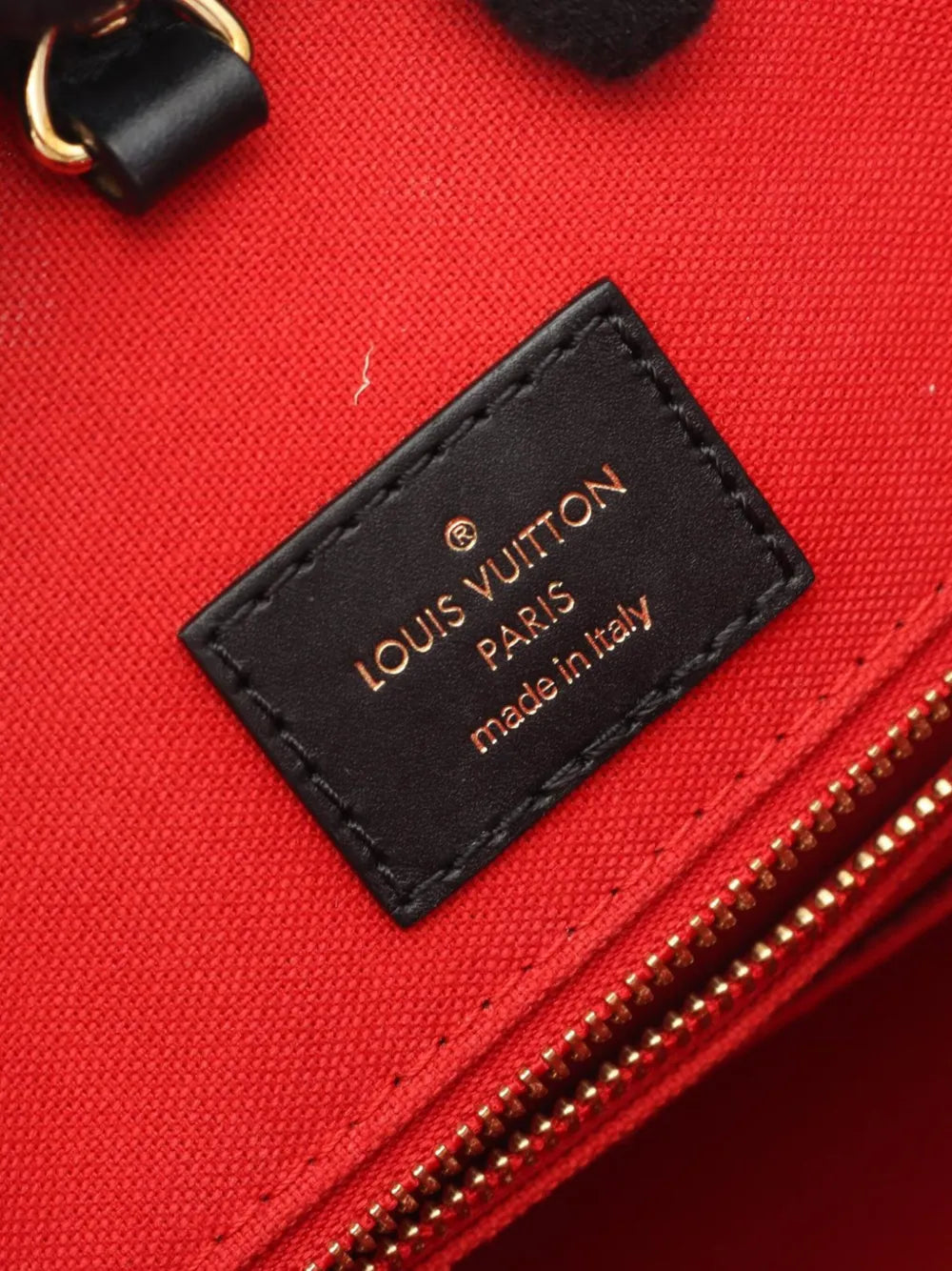 2021 Monogram Giant OnTheGo MM satchel
