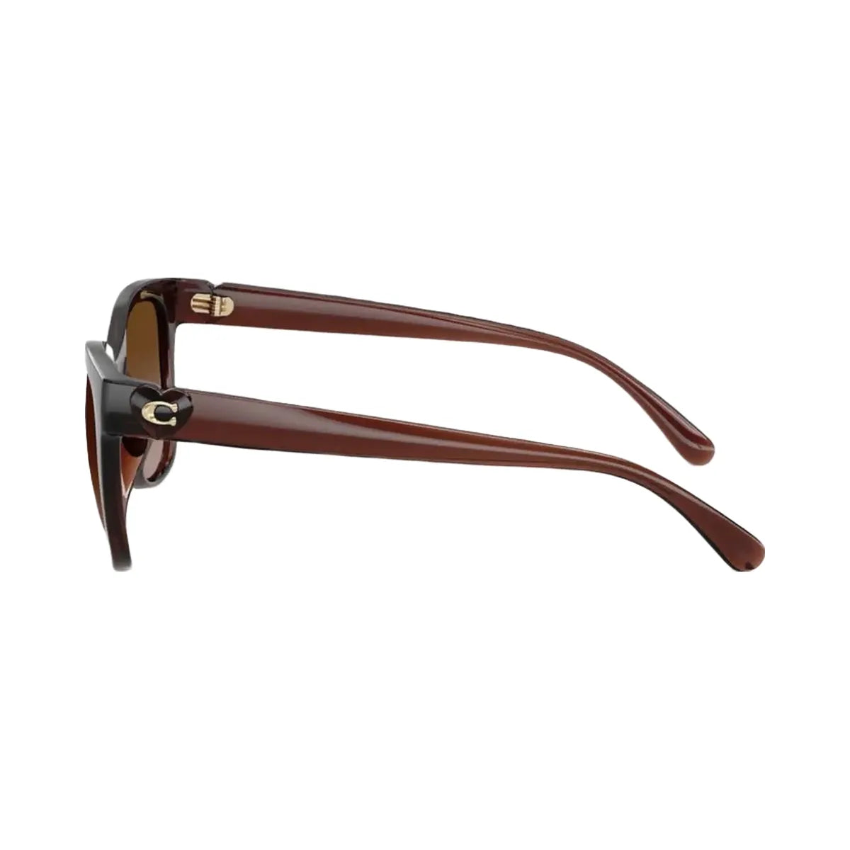 Coach Signature Heart Oversized Square Sunglasses Milky Brown