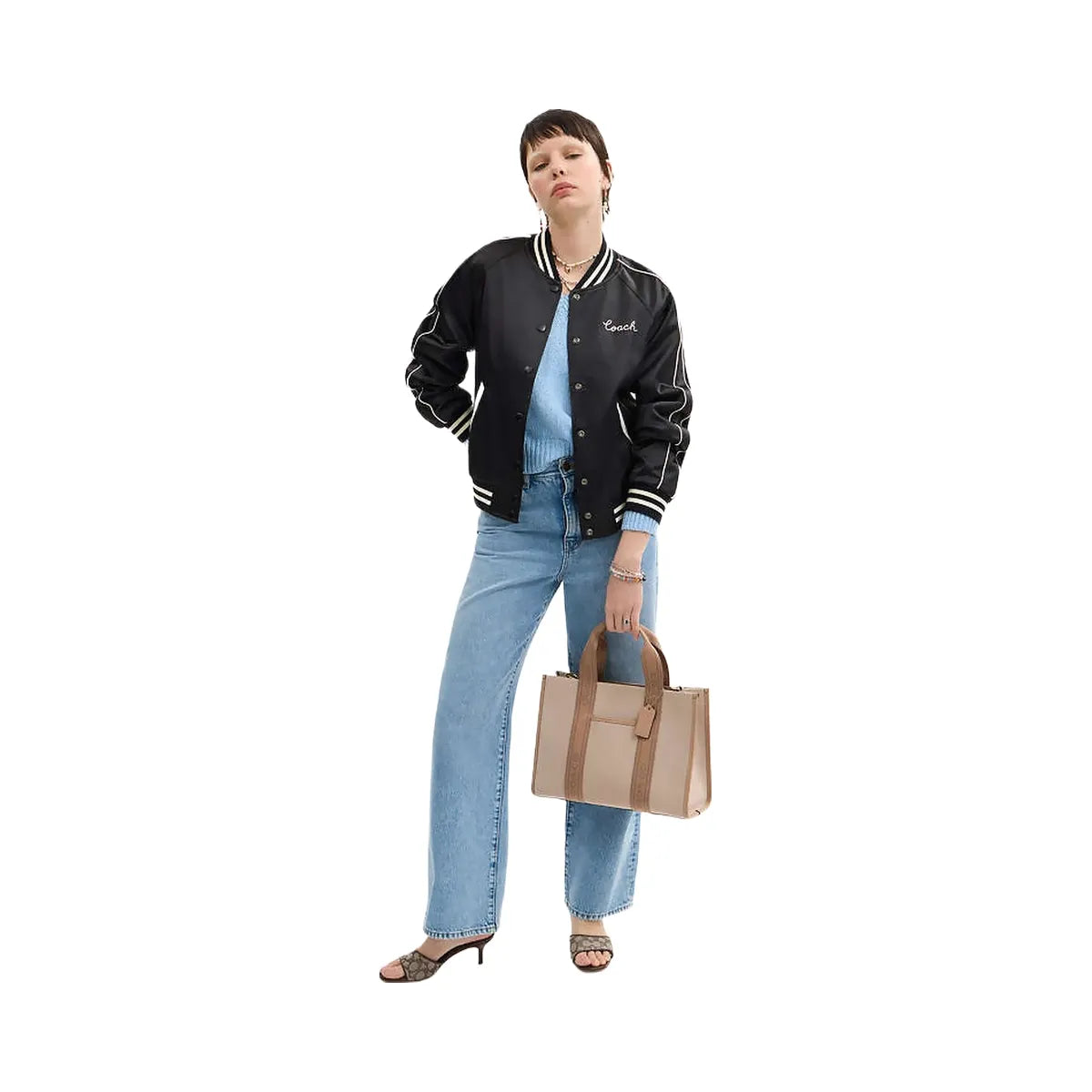 Coach Smith Tote Bag Canvas-Im-Dark Natural Multi