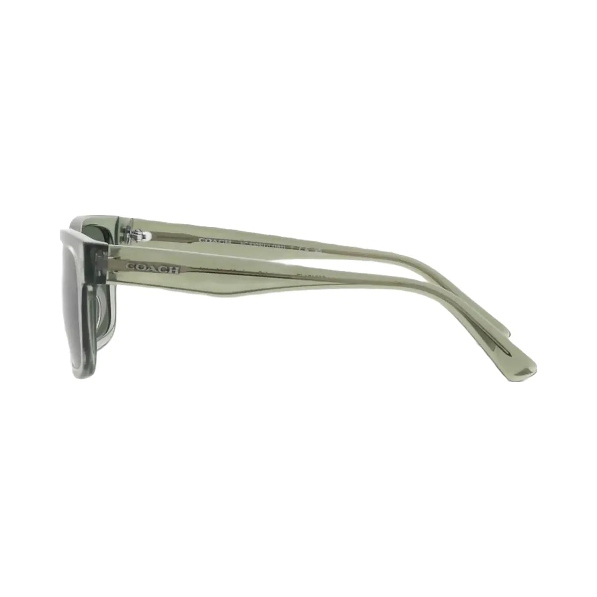 Coach Square Frame Sunglasses Transparent Green