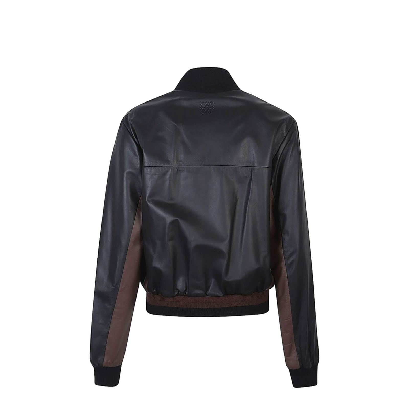Women's Jacket
