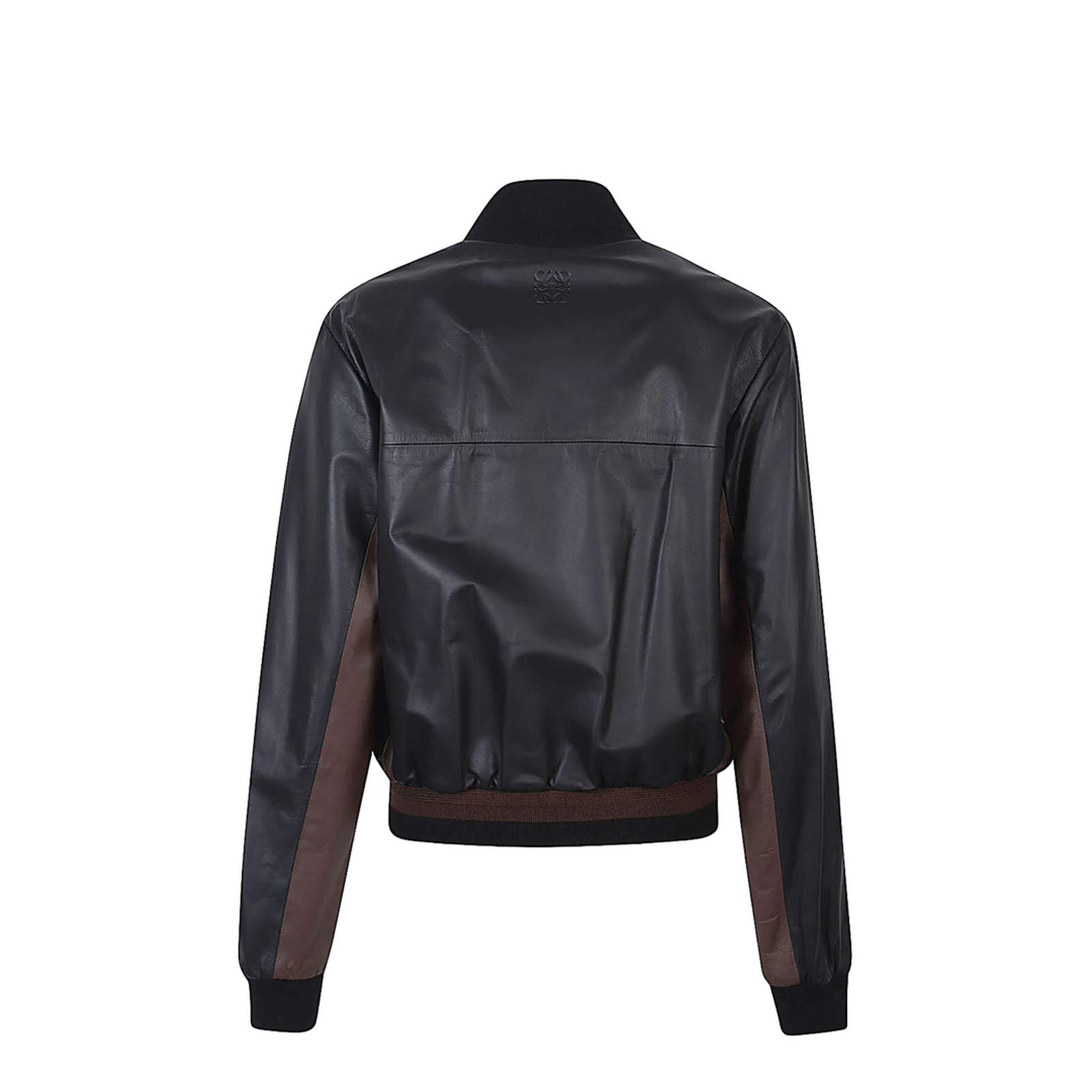 Women's Jacket