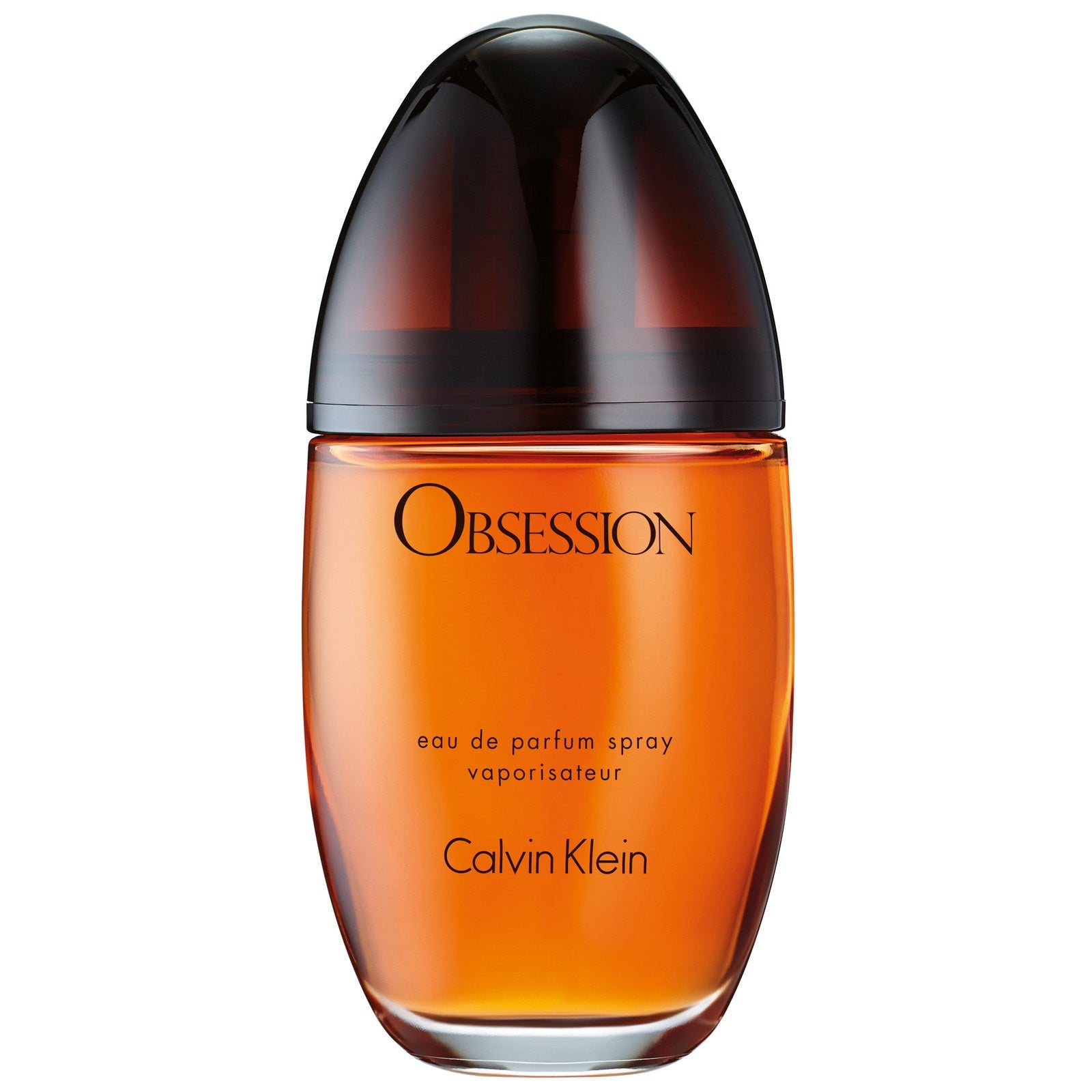 Calvin Klein Obsession Eau de Parfum 100 ml
