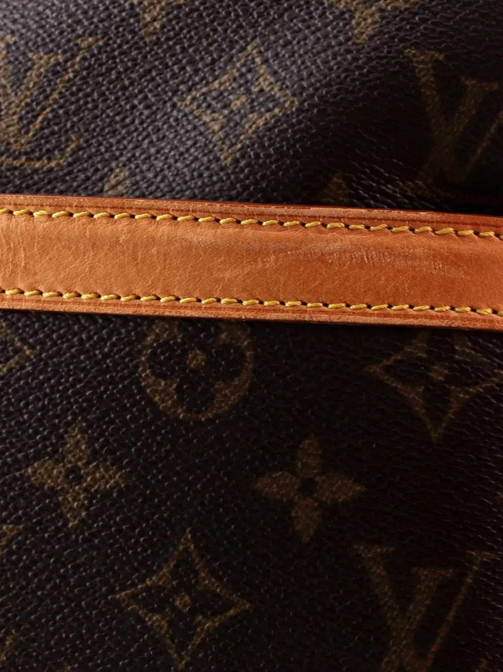 Reporter Bag Monogram Canvas GM crossbody bag
