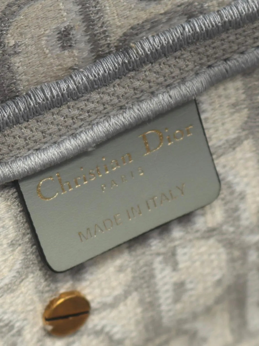 2010-2026 Oblique Canvas Saddle Bag satchel