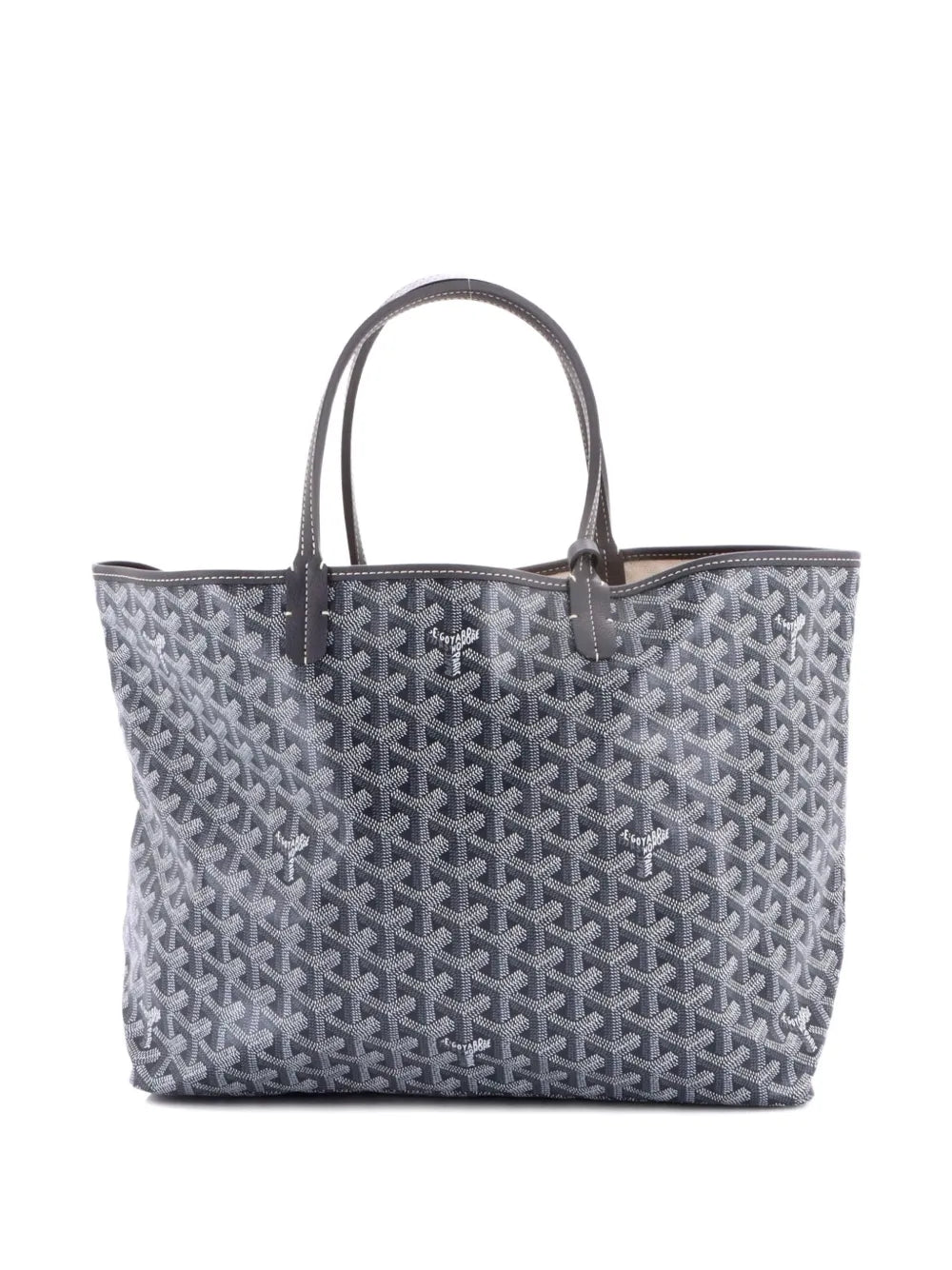Saint Louis Coated Canvas PM tote bag