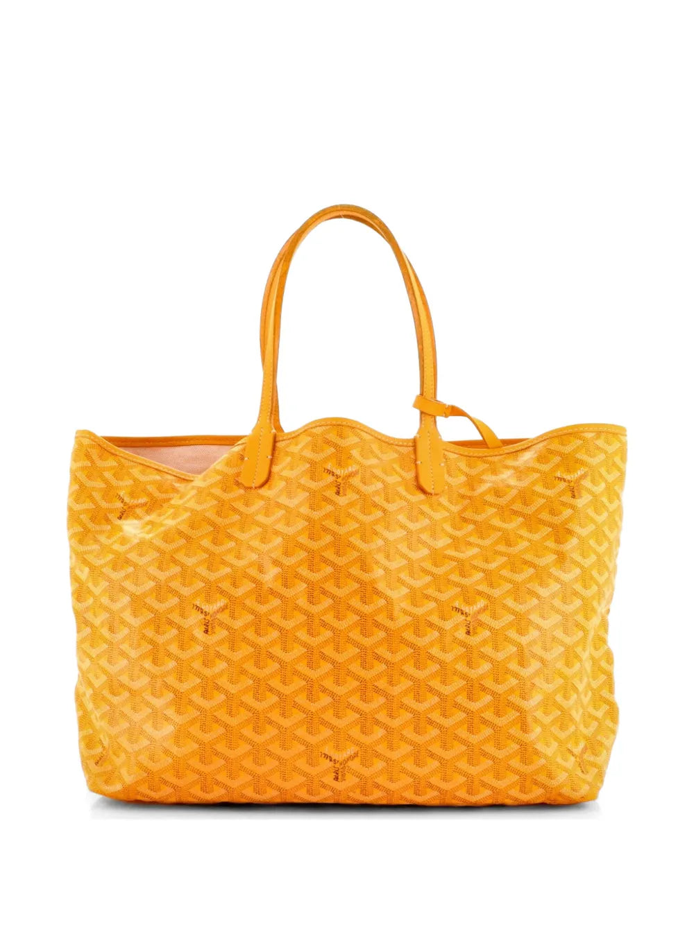 Saint Louis Coated Canvas PM tote bag