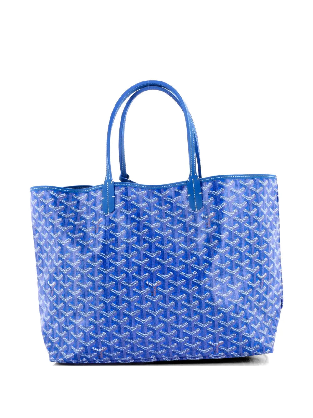 Saint Louis Coated Canvas PM tote bag