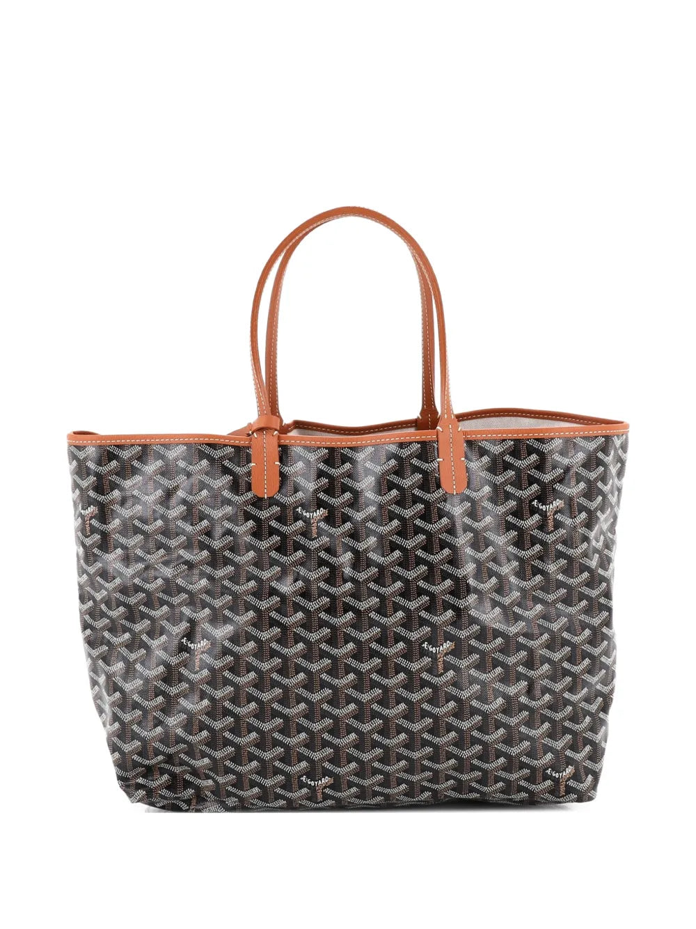 Saint Louis Coated Canvas PM tote bag