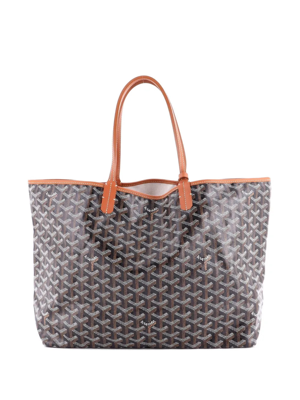 Saint Louis Coated Canvas PM tote bag