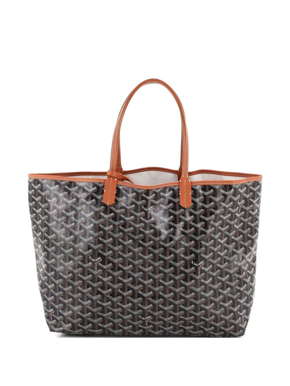 Saint Louis Coated Canvas PM tote bag