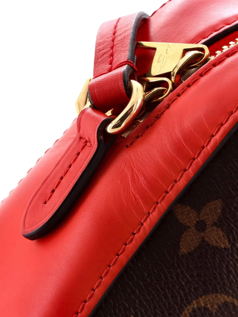 Saintonge Handbag Monogram Canvas with Leather crossbody bag