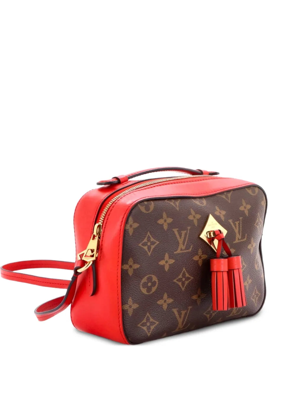 Saintonge Handbag Monogram Canvas with Leather crossbody bag
