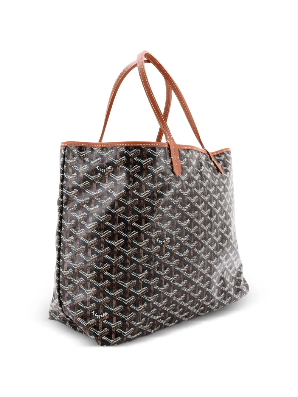 Saint Louis Coated Canvas PM tote bag