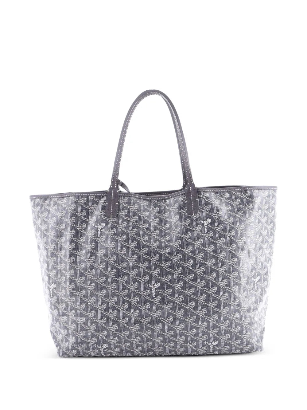 Saint Louis Coated Canvas PM tote bag