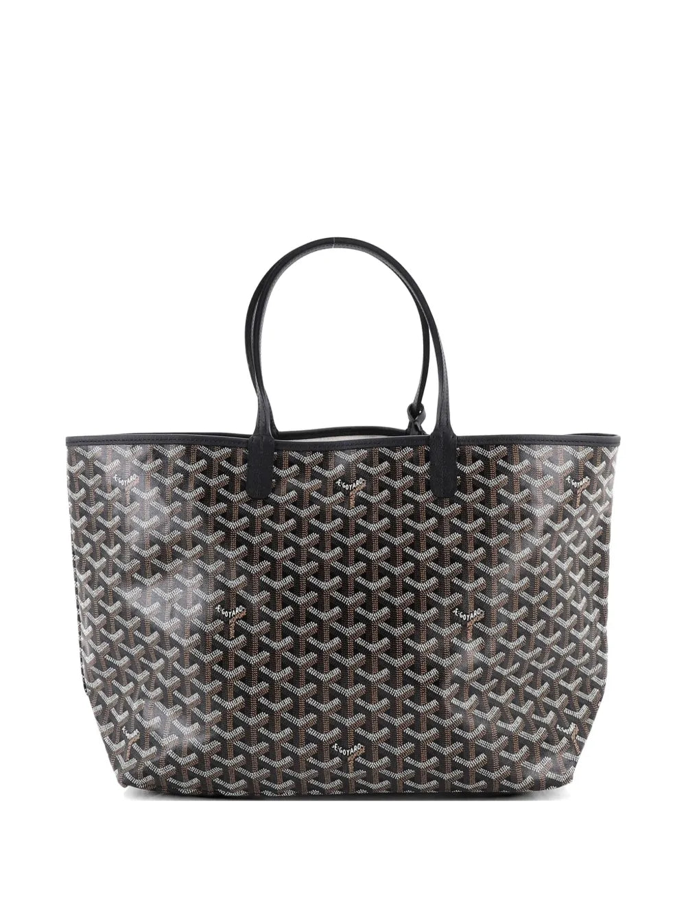 Saint Louis Coated Canvas PM tote bag