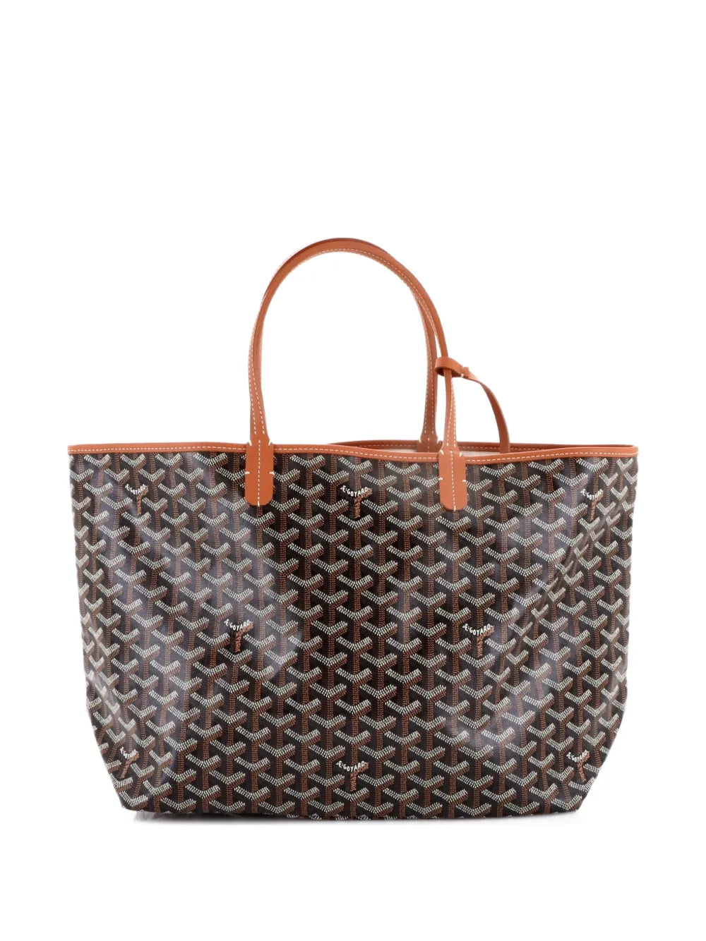 Saint Louis Coated Canvas PM tote bag