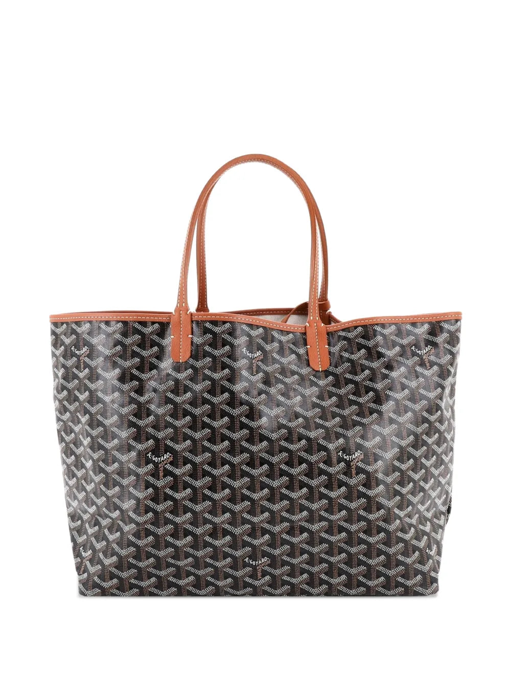 Saint Louis Coated Canvas PM tote bag