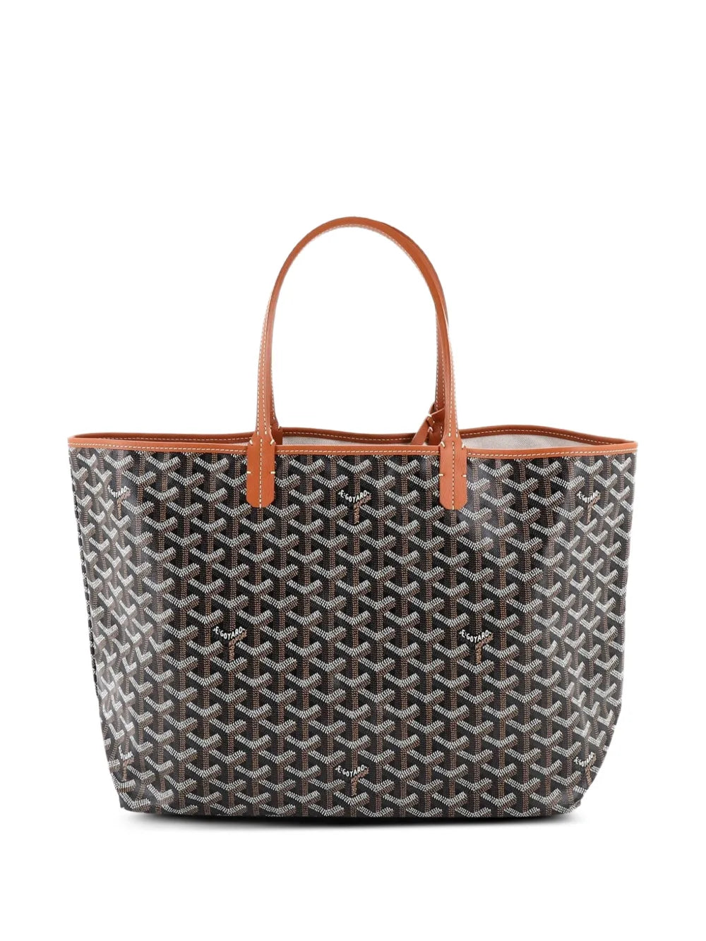 Saint Louis Coated Canvas PM tote bag