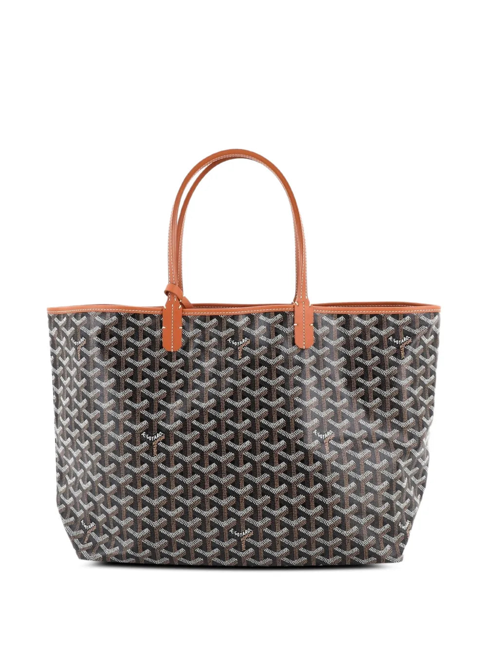 Saint Louis Coated Canvas PM tote bag