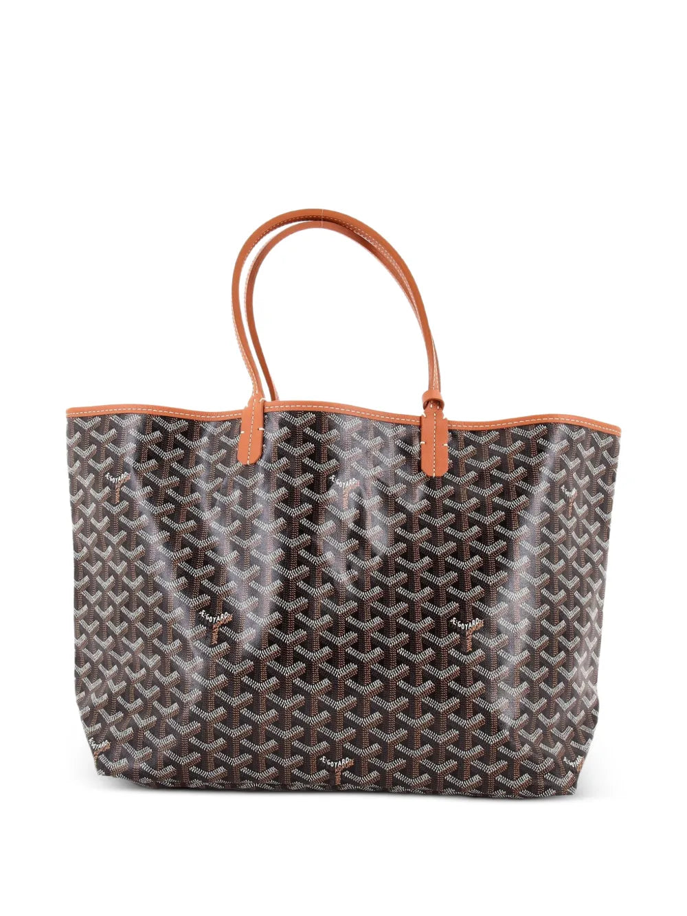 Saint Louis Coated Canvas PM tote bag