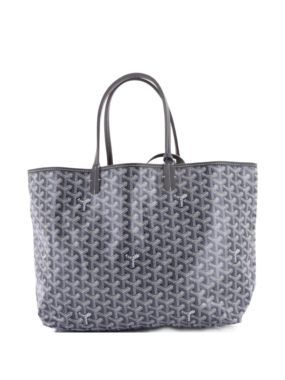 Saint Louis Coated Canvas PM tote bag
