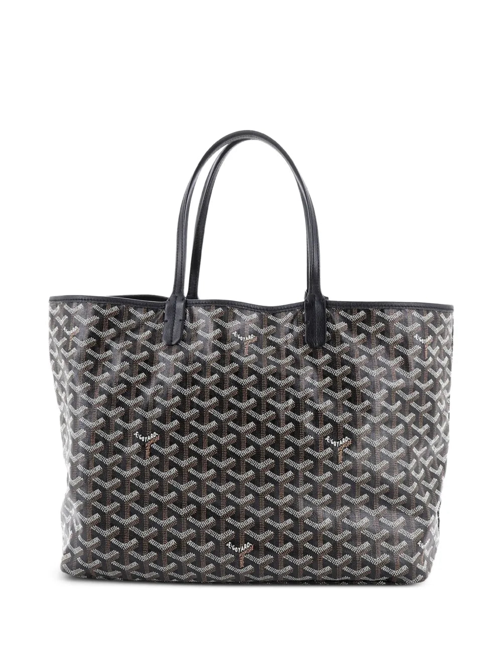 Saint Louis Coated Canvas PM tote bag