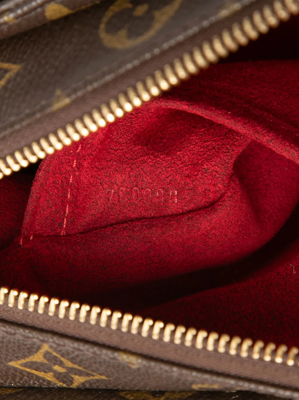 2002 Monogram Viva Cite MM shoulder bag