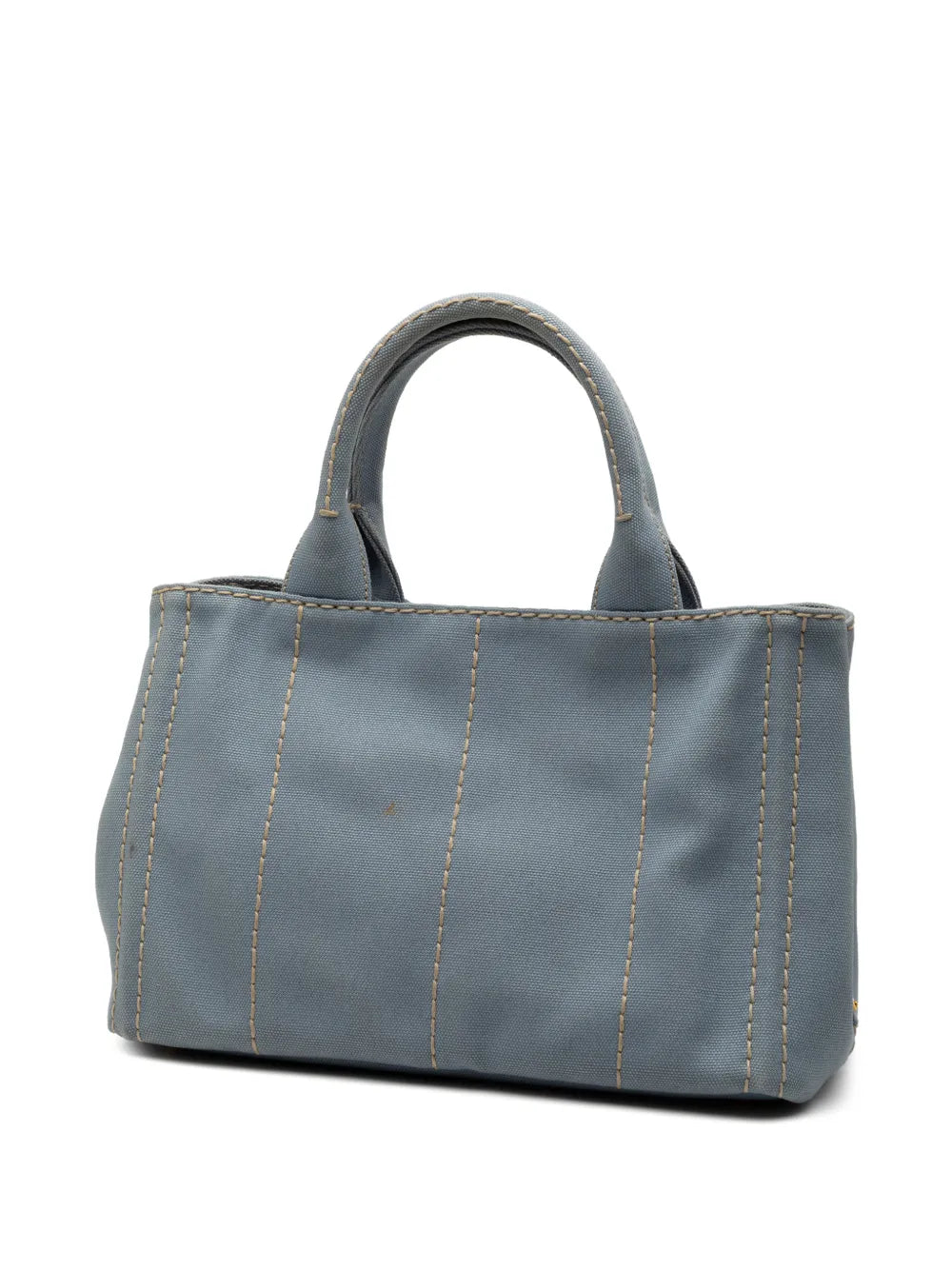 2010-2025 Small Canvas Canapa Logo satchel