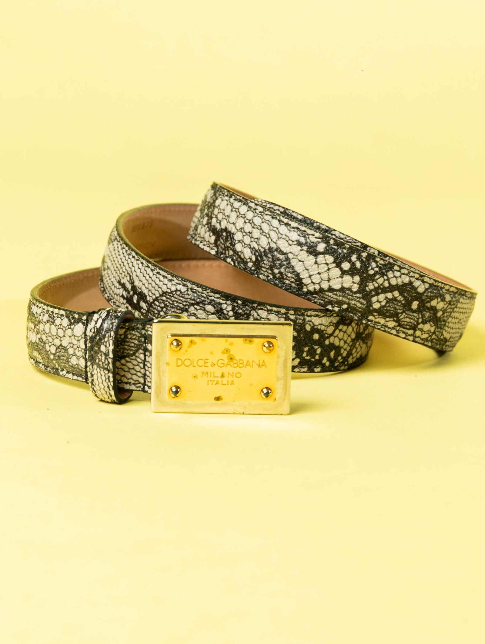 Dolce & Gabbana Python Ladies Belt Snake Skin (One Size)