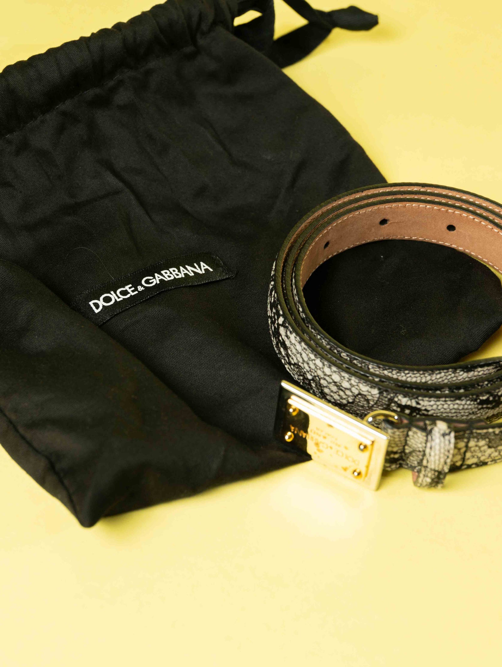 Dolce & Gabbana Python Ladies Belt Snake Skin (One Size)