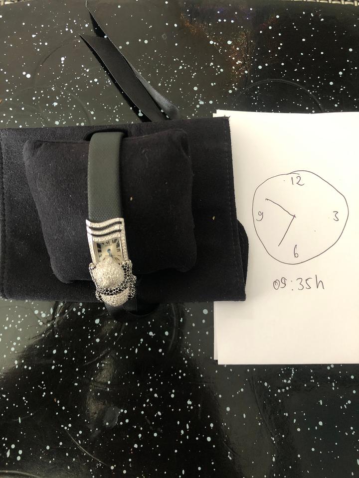 Cartier Secret Panda