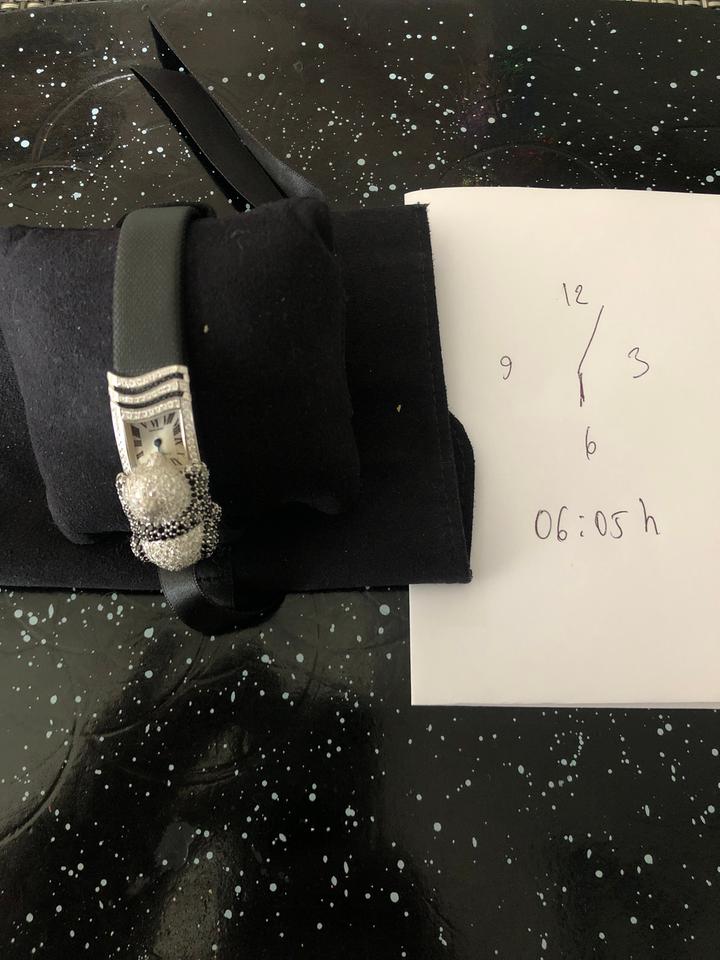 Cartier Secret Panda