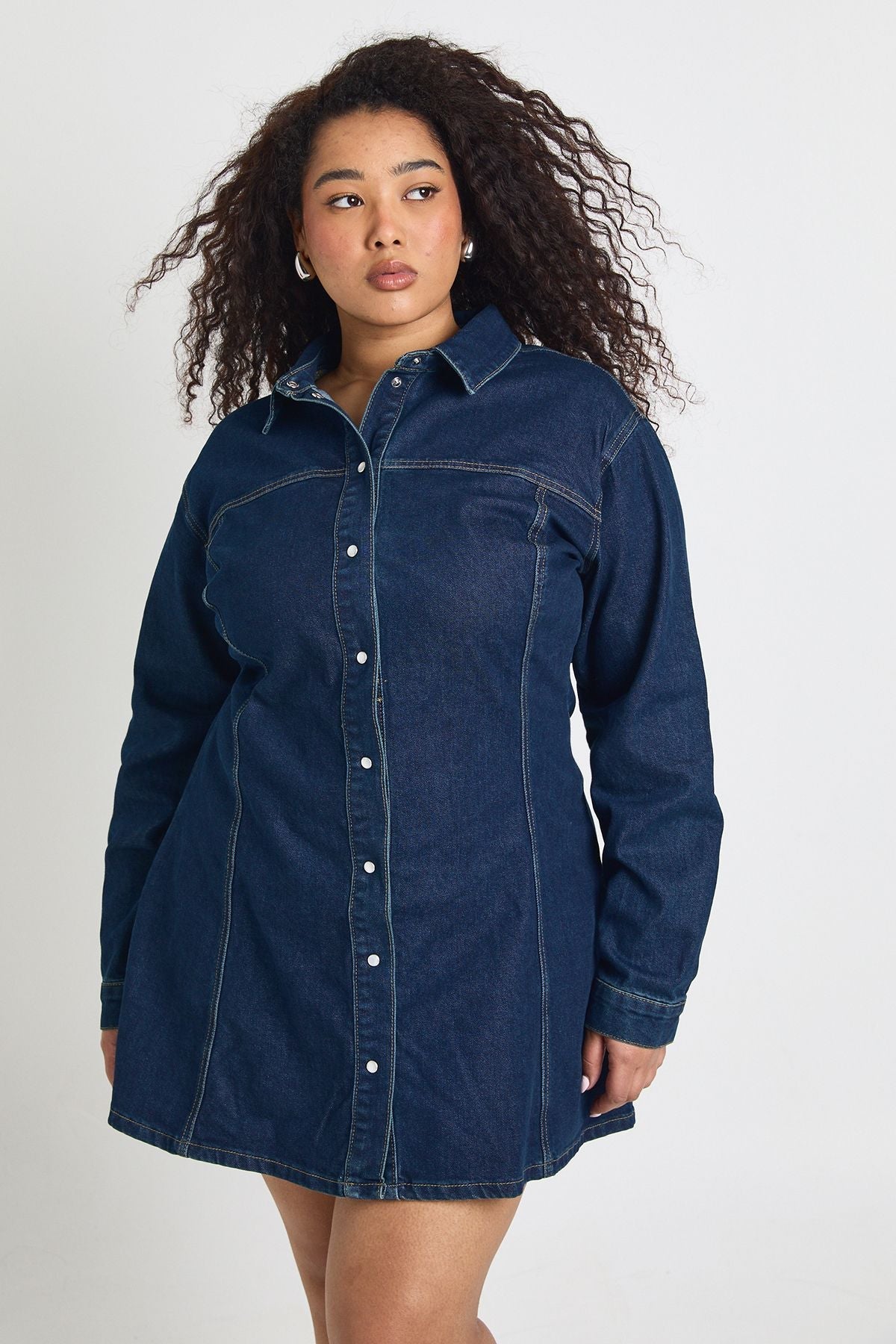 Plus Denim Cinched Button Down Skater Dress