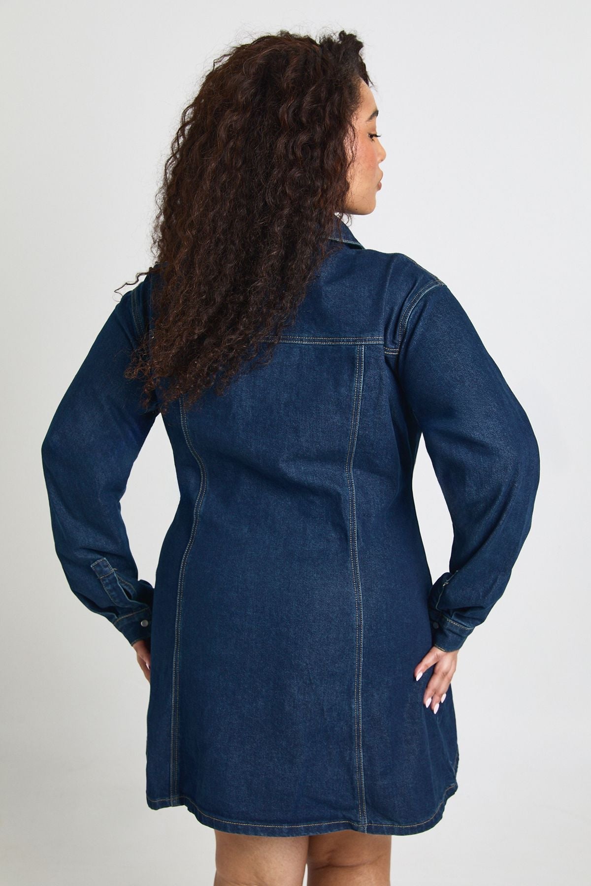 Plus Denim Cinched Button Down Skater Dress