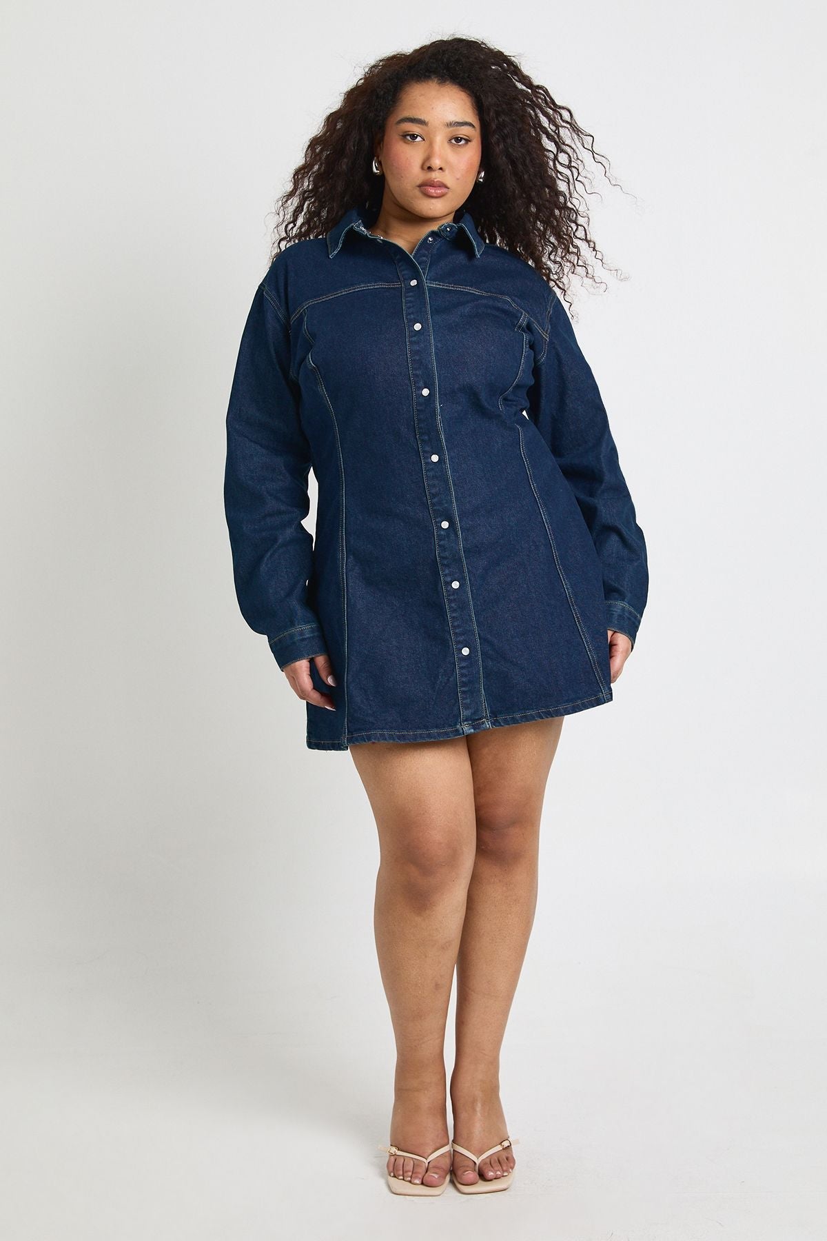 Plus Denim Cinched Button Down Skater Dress