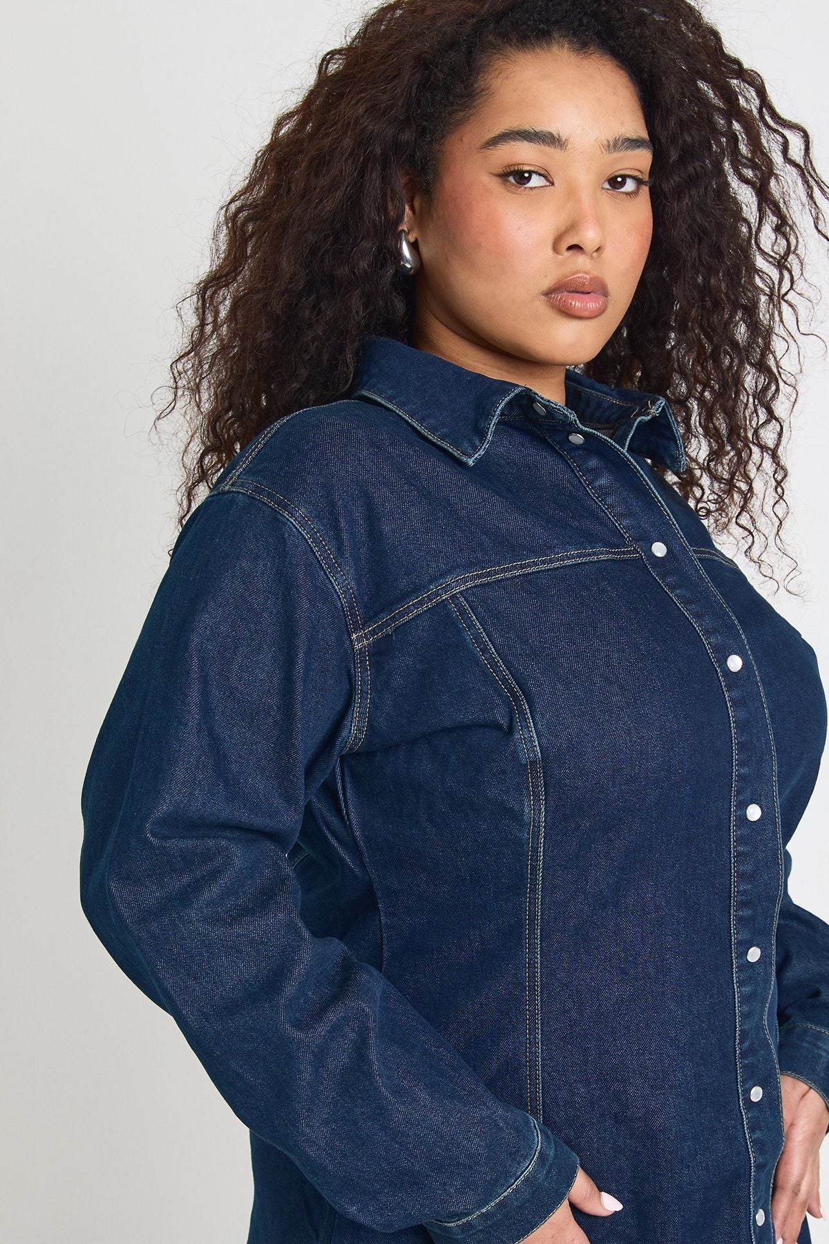 Plus Denim Cinched Button Down Skater Dress
