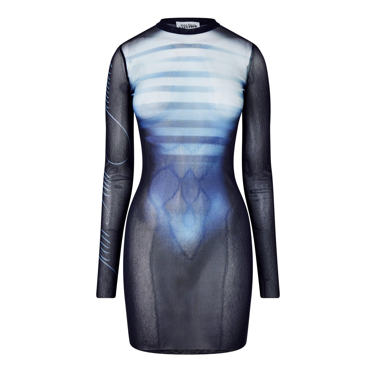 Long Sleeve Mesh Mini Dress