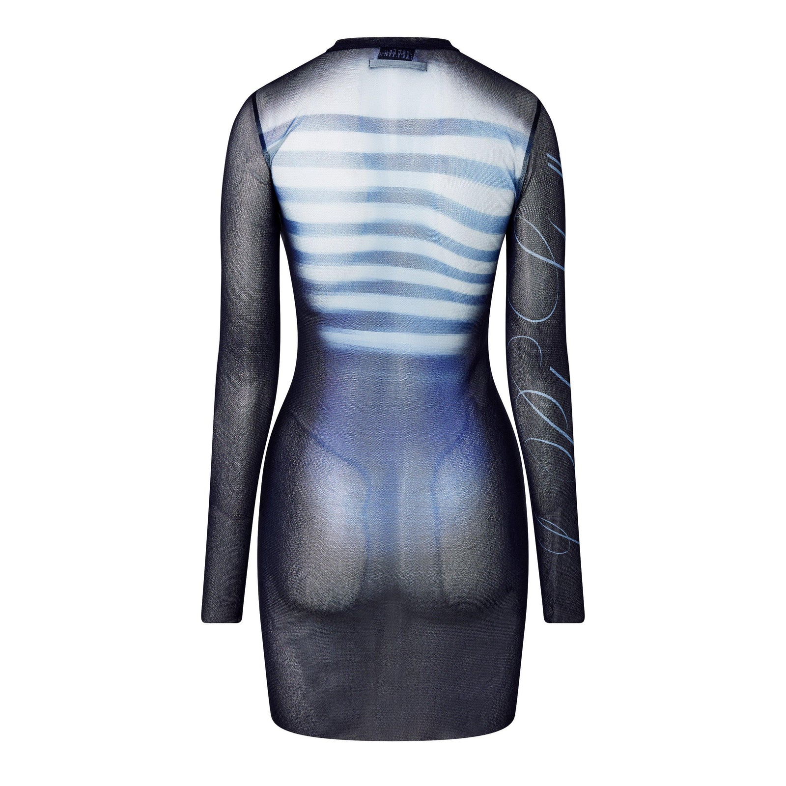 Long Sleeve Mesh Mini Dress