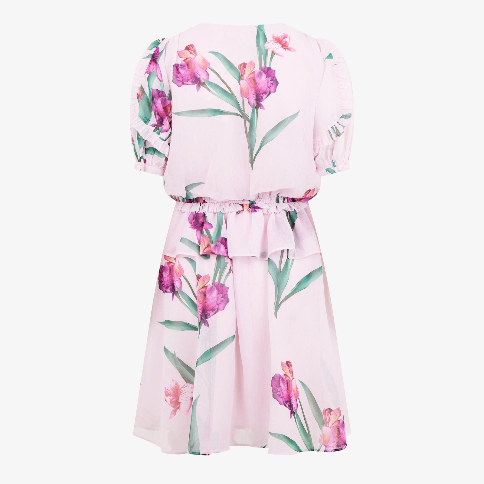Merieli Floral Mini Dress